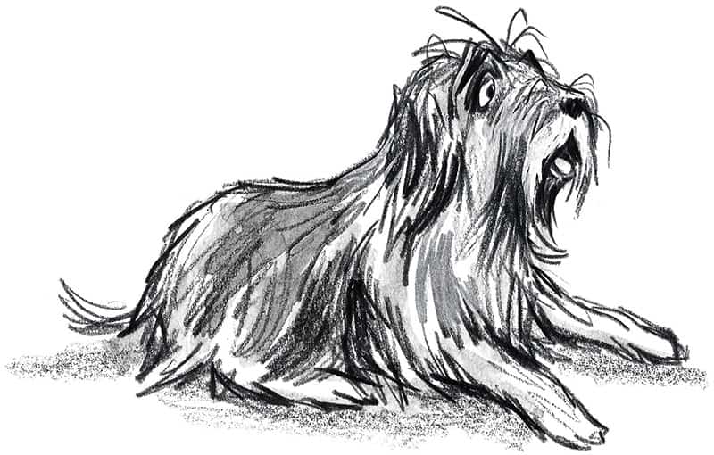 Al's Awesome Science:Egg-speriments! Einstein the dog, Illustrated by James Brown. Five Quills 2017