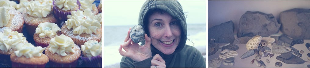 Loretta's cakes, fossil hunting and her fossil collection